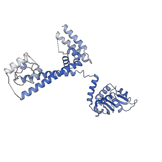 0954_6lqu_3D_v1-1
Cryo-EM structure of 90S small subunit preribosomes in transition states (State A1)