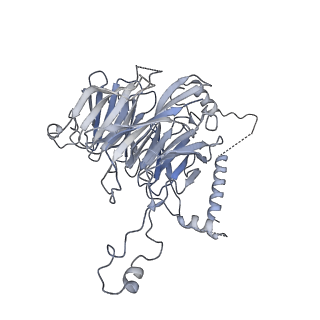 0954_6lqu_3F_v1-2
Cryo-EM structure of 90S small subunit preribosomes in transition states (State A1)