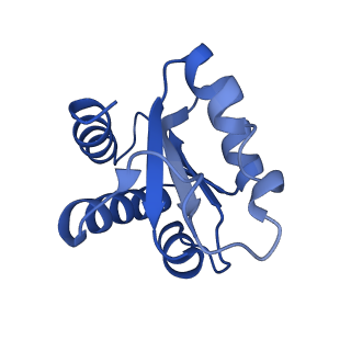 0954_6lqu_3G_v1-2
Cryo-EM structure of 90S small subunit preribosomes in transition states (State A1)