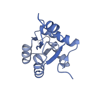 0954_6lqu_3H_v1-1
Cryo-EM structure of 90S small subunit preribosomes in transition states (State A1)