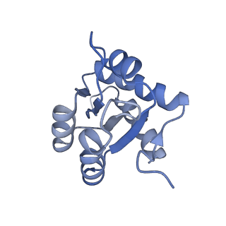 0954_6lqu_3H_v1-2
Cryo-EM structure of 90S small subunit preribosomes in transition states (State A1)