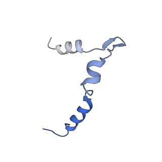 0954_6lqu_5B_v1-1
Cryo-EM structure of 90S small subunit preribosomes in transition states (State A1)