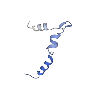 0954_6lqu_5B_v1-2
Cryo-EM structure of 90S small subunit preribosomes in transition states (State A1)