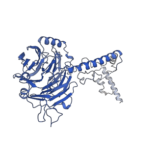 0954_6lqu_5C_v1-1
Cryo-EM structure of 90S small subunit preribosomes in transition states (State A1)