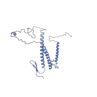 0954_6lqu_5D_v1-1
Cryo-EM structure of 90S small subunit preribosomes in transition states (State A1)