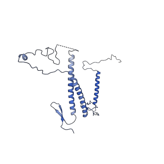 0954_6lqu_5D_v1-2
Cryo-EM structure of 90S small subunit preribosomes in transition states (State A1)