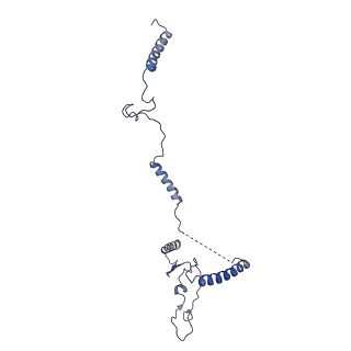 0954_6lqu_5E_v1-1
Cryo-EM structure of 90S small subunit preribosomes in transition states (State A1)