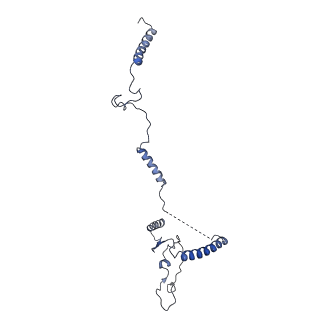 0954_6lqu_5E_v1-2
Cryo-EM structure of 90S small subunit preribosomes in transition states (State A1)