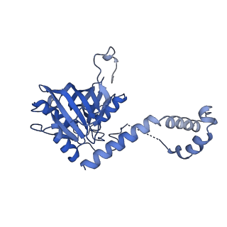 0954_6lqu_5G_v1-1
Cryo-EM structure of 90S small subunit preribosomes in transition states (State A1)