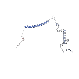 0954_6lqu_5H_v1-1
Cryo-EM structure of 90S small subunit preribosomes in transition states (State A1)
