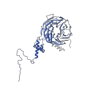 0954_6lqu_5I_v1-1
Cryo-EM structure of 90S small subunit preribosomes in transition states (State A1)
