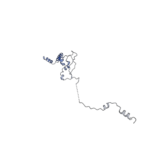 0954_6lqu_5J_v1-1
Cryo-EM structure of 90S small subunit preribosomes in transition states (State A1)