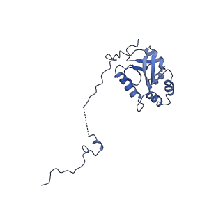 0954_6lqu_5K_v1-1
Cryo-EM structure of 90S small subunit preribosomes in transition states (State A1)