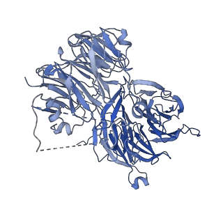 0954_6lqu_A4_v1-1
Cryo-EM structure of 90S small subunit preribosomes in transition states (State A1)