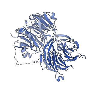 0954_6lqu_A4_v1-2
Cryo-EM structure of 90S small subunit preribosomes in transition states (State A1)