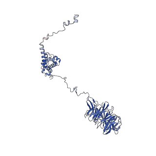 0954_6lqu_A5_v1-2
Cryo-EM structure of 90S small subunit preribosomes in transition states (State A1)