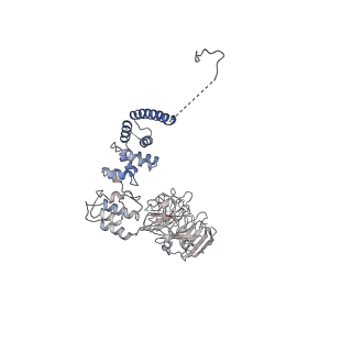 0954_6lqu_A8_v1-2
Cryo-EM structure of 90S small subunit preribosomes in transition states (State A1)