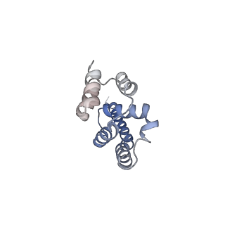 0954_6lqu_A9_v1-1
Cryo-EM structure of 90S small subunit preribosomes in transition states (State A1)