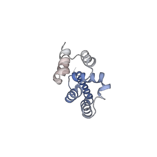 0954_6lqu_A9_v1-2
Cryo-EM structure of 90S small subunit preribosomes in transition states (State A1)