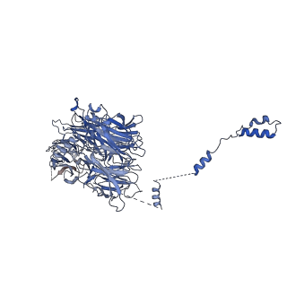 0954_6lqu_AG_v1-1
Cryo-EM structure of 90S small subunit preribosomes in transition states (State A1)