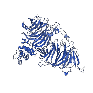 0954_6lqu_B1_v1-1
Cryo-EM structure of 90S small subunit preribosomes in transition states (State A1)