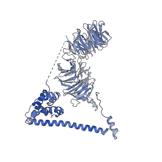 0954_6lqu_B2_v1-2
Cryo-EM structure of 90S small subunit preribosomes in transition states (State A1)