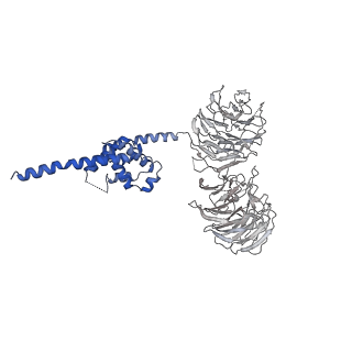 0954_6lqu_B3_v1-1
Cryo-EM structure of 90S small subunit preribosomes in transition states (State A1)