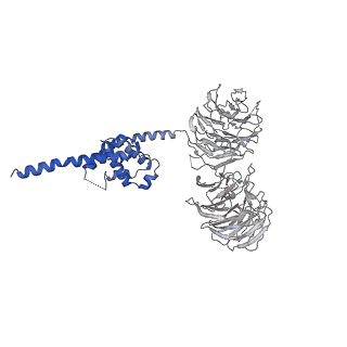 0954_6lqu_B3_v1-2
Cryo-EM structure of 90S small subunit preribosomes in transition states (State A1)