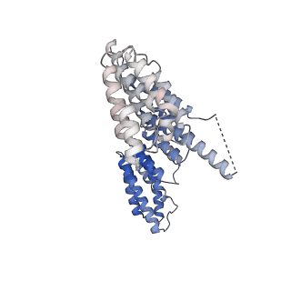 0954_6lqu_B6_v1-1
Cryo-EM structure of 90S small subunit preribosomes in transition states (State A1)