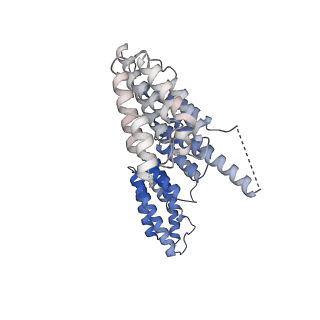 0954_6lqu_B6_v1-2
Cryo-EM structure of 90S small subunit preribosomes in transition states (State A1)