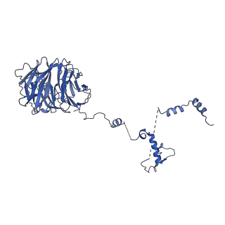 0954_6lqu_B8_v1-1
Cryo-EM structure of 90S small subunit preribosomes in transition states (State A1)