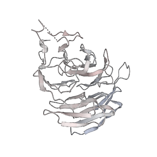 0954_6lqu_RA_v1-1
Cryo-EM structure of 90S small subunit preribosomes in transition states (State A1)