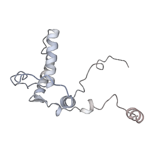 0954_6lqu_RB_v1-1
Cryo-EM structure of 90S small subunit preribosomes in transition states (State A1)