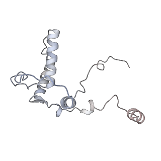 0954_6lqu_RB_v1-2
Cryo-EM structure of 90S small subunit preribosomes in transition states (State A1)