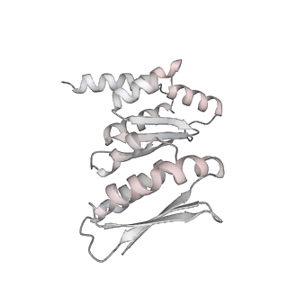 0954_6lqu_RC_v1-1
Cryo-EM structure of 90S small subunit preribosomes in transition states (State A1)