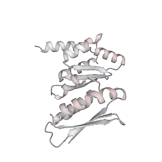 0954_6lqu_RC_v1-2
Cryo-EM structure of 90S small subunit preribosomes in transition states (State A1)