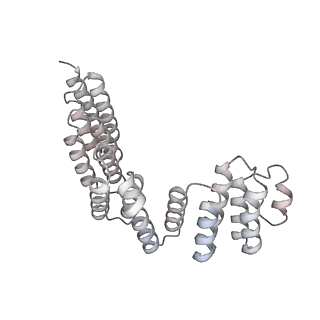 0954_6lqu_RD_v1-1
Cryo-EM structure of 90S small subunit preribosomes in transition states (State A1)