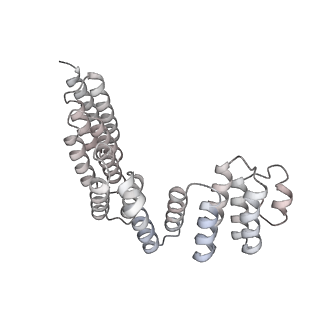 0954_6lqu_RD_v1-2
Cryo-EM structure of 90S small subunit preribosomes in transition states (State A1)