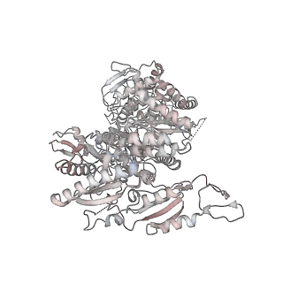 0954_6lqu_RE_v1-2
Cryo-EM structure of 90S small subunit preribosomes in transition states (State A1)