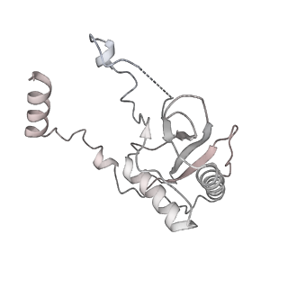 0954_6lqu_RF_v1-1
Cryo-EM structure of 90S small subunit preribosomes in transition states (State A1)