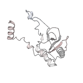 0954_6lqu_RF_v1-2
Cryo-EM structure of 90S small subunit preribosomes in transition states (State A1)