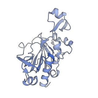 0954_6lqu_RG_v1-1
Cryo-EM structure of 90S small subunit preribosomes in transition states (State A1)