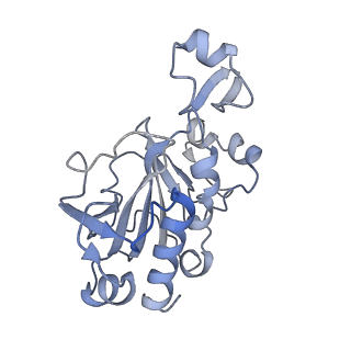 0954_6lqu_RG_v1-2
Cryo-EM structure of 90S small subunit preribosomes in transition states (State A1)