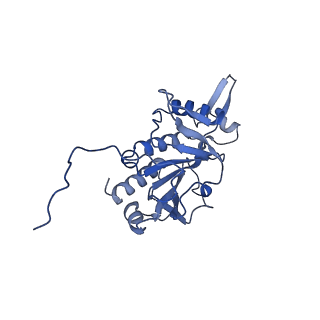0954_6lqu_RH_v1-1
Cryo-EM structure of 90S small subunit preribosomes in transition states (State A1)
