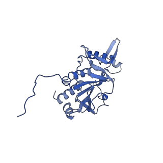 0954_6lqu_RH_v1-2
Cryo-EM structure of 90S small subunit preribosomes in transition states (State A1)