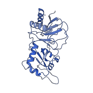 0954_6lqu_RI_v1-1
Cryo-EM structure of 90S small subunit preribosomes in transition states (State A1)