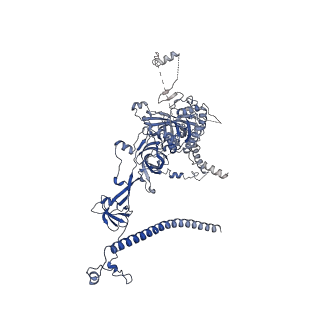 0954_6lqu_RJ_v1-1
Cryo-EM structure of 90S small subunit preribosomes in transition states (State A1)