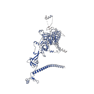 0954_6lqu_RJ_v1-2
Cryo-EM structure of 90S small subunit preribosomes in transition states (State A1)