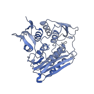 0954_6lqu_RK_v1-1
Cryo-EM structure of 90S small subunit preribosomes in transition states (State A1)