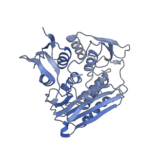 0954_6lqu_RK_v1-2
Cryo-EM structure of 90S small subunit preribosomes in transition states (State A1)